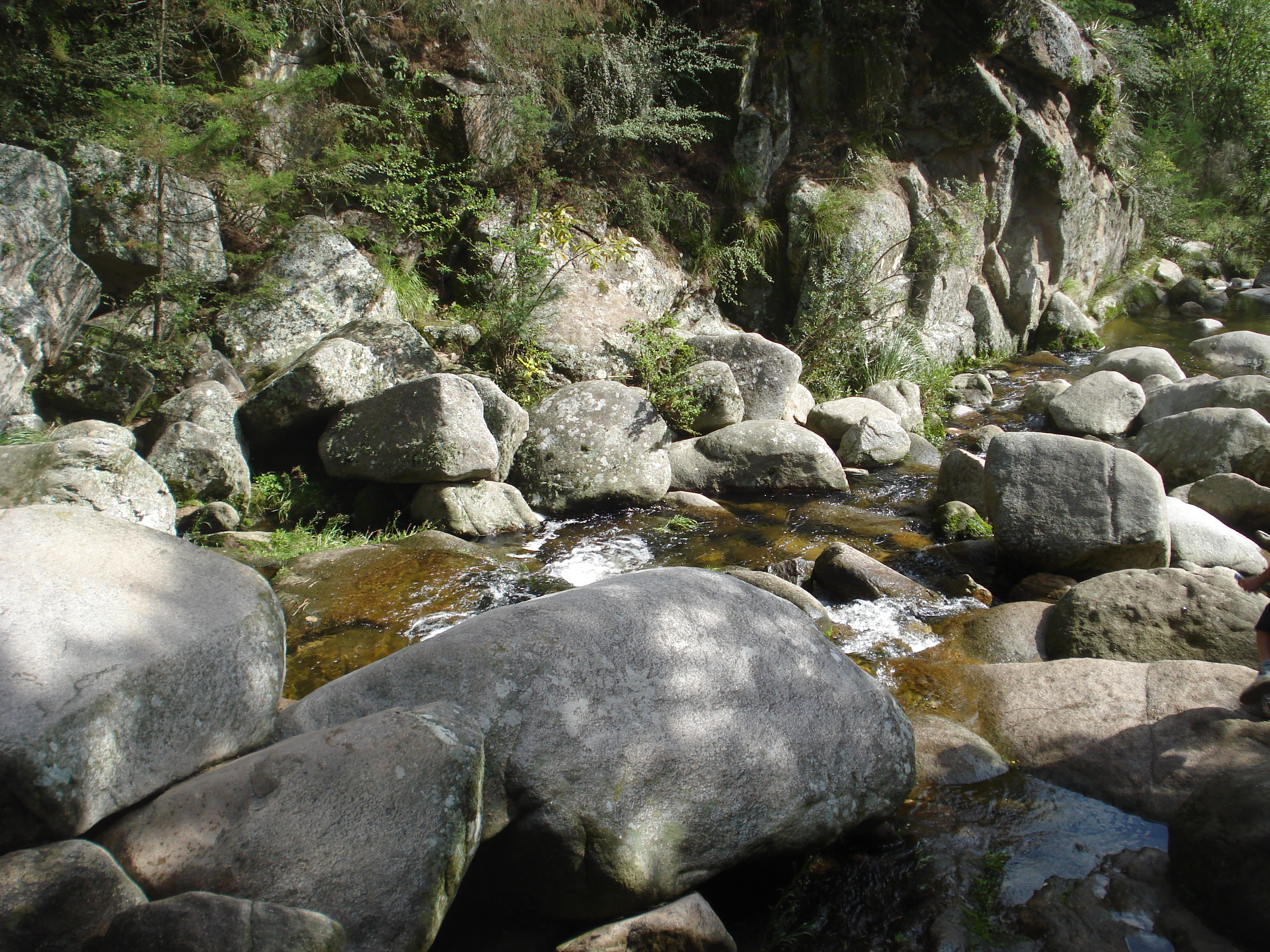 fotos/2011 - Los Reartes/DSC00504.JPG